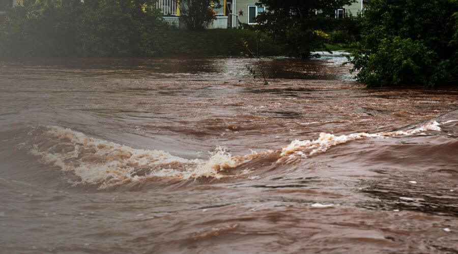 Why choose AquaShift Pros for water damage restoration in Poway